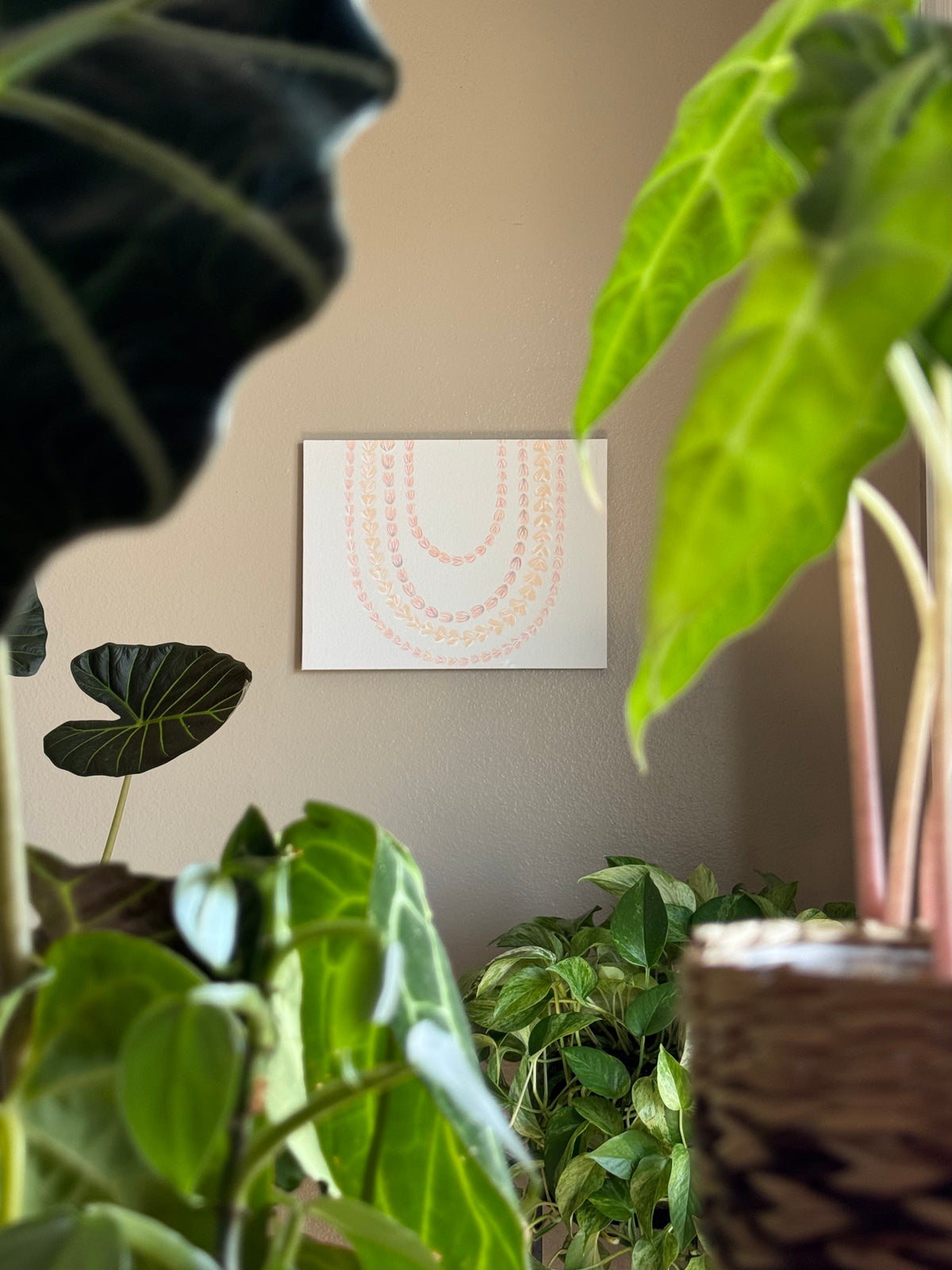 Pololu Lei Original Canvas